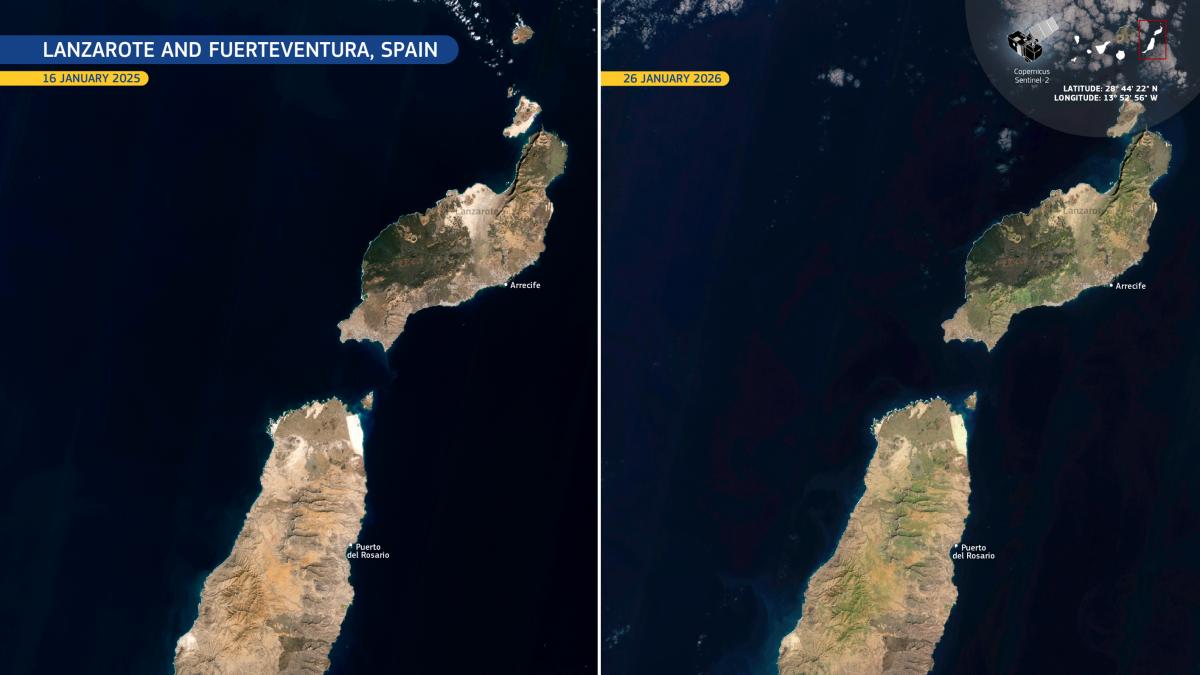 En Holanda se dan cuenta del fenómeno que rodea a Fuerteventura: "'¡Casi te duele la vista! Es muy extraño verlo"