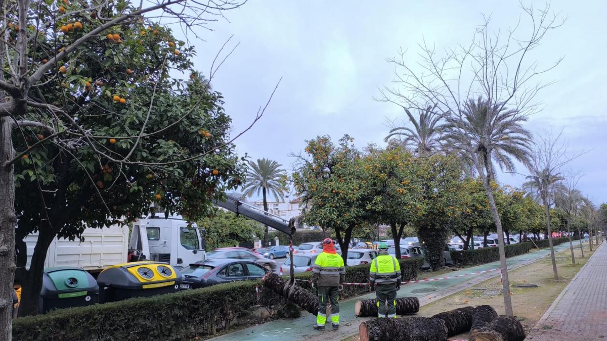 Andalucía, en guardia por el temporal Leonardo: 3.000 desalojos, cortes y miedo a inundaciones
