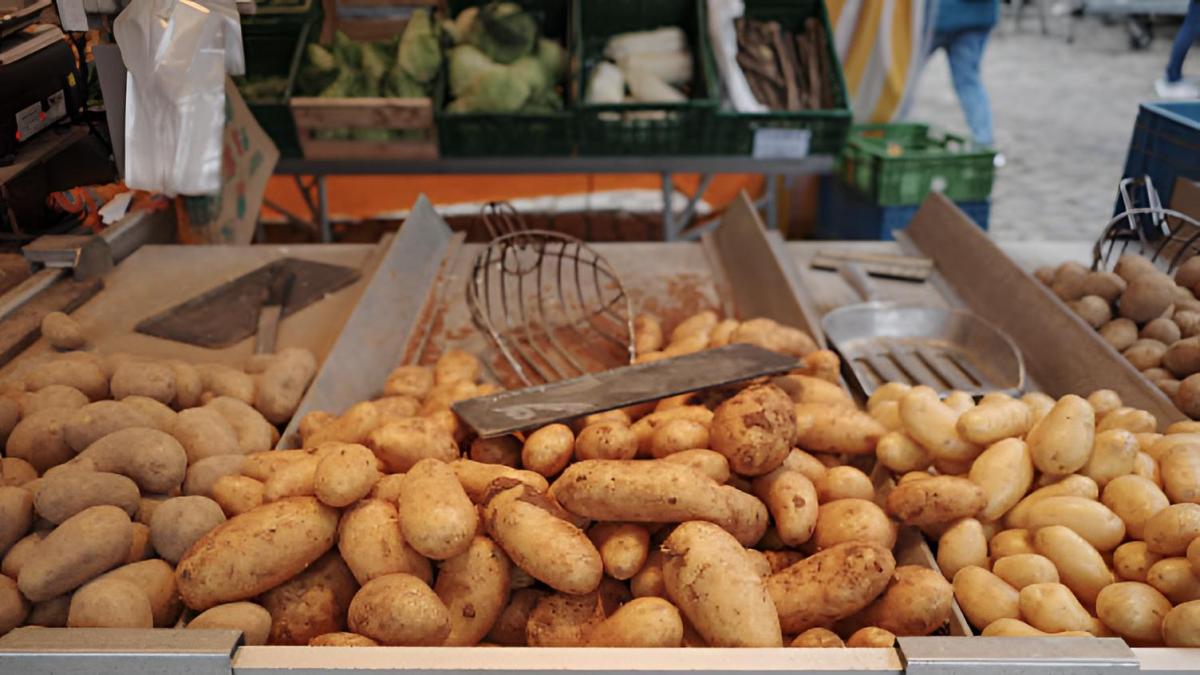 Un agricultor desecha 4.000 toneladas de patatas sin vender: "La idea de tirarlas es difícil de soportar emocionalmente después de todo el esfuerzo que hemos hecho"