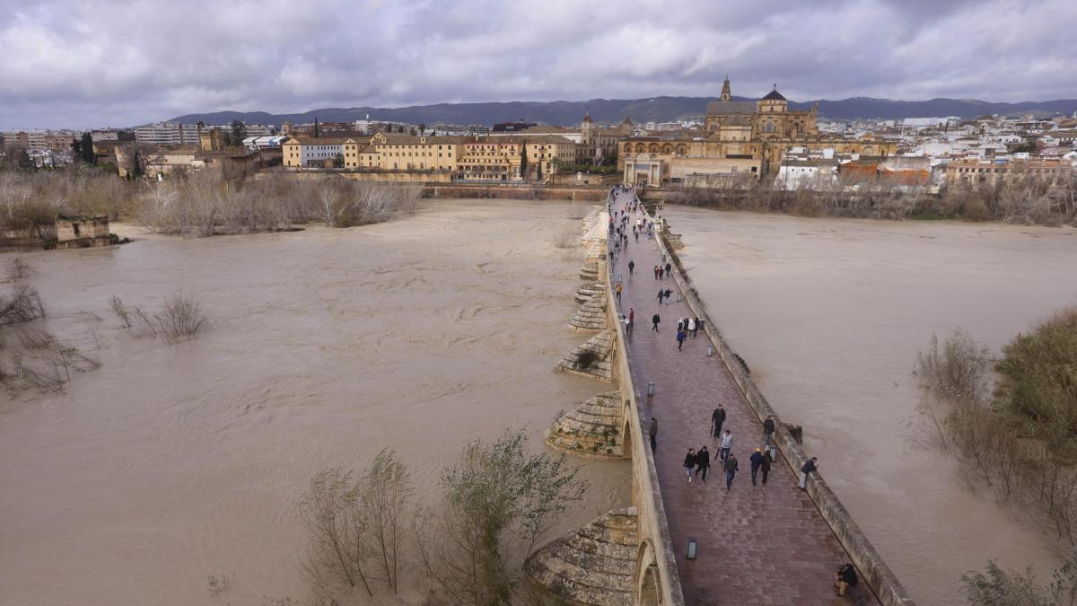 La lluvia, sin tregua: Grazalema evacuada, Córdoba teme al Guadalquivir y 90 vías cortadas