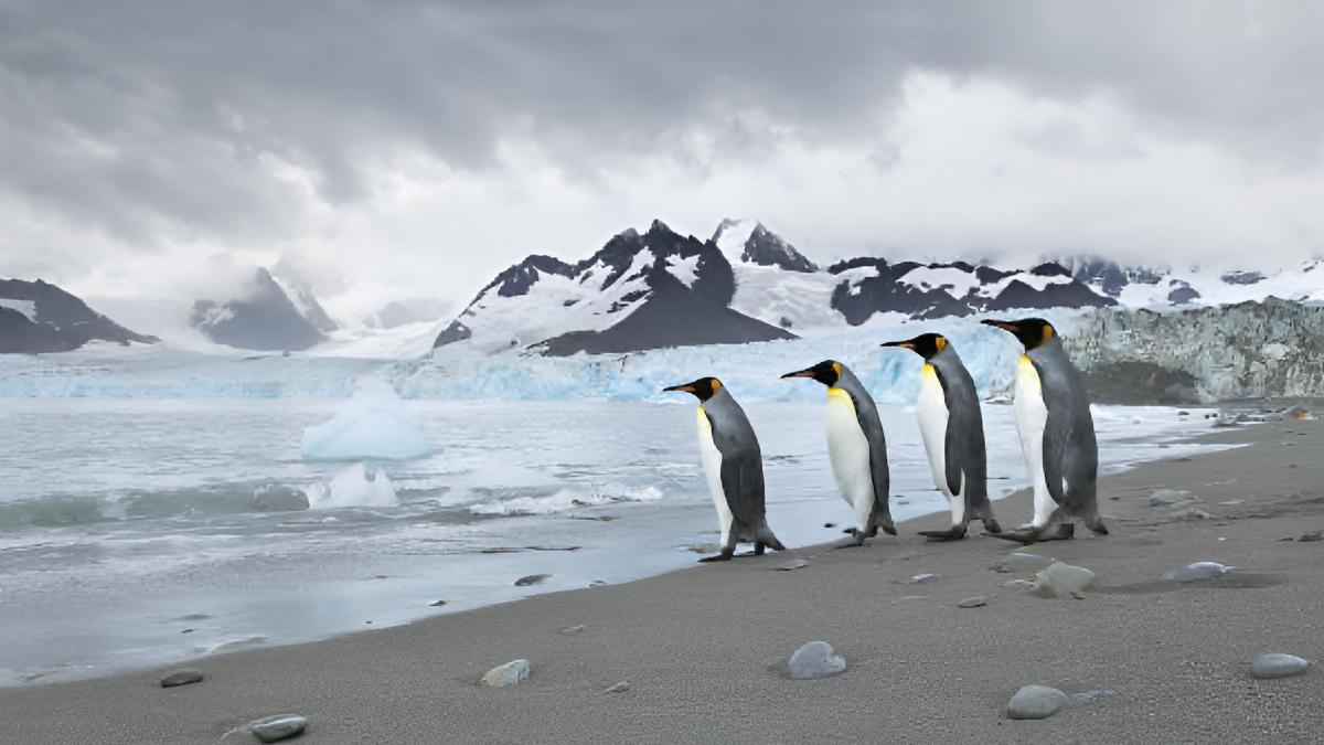 Henrik, viajero empedernido, ha visitado más de 400 islas del mundo y sentencia que esta es la mejor: "Uno de los últimos lugares verdaderamente salvajes de la Tierra"
