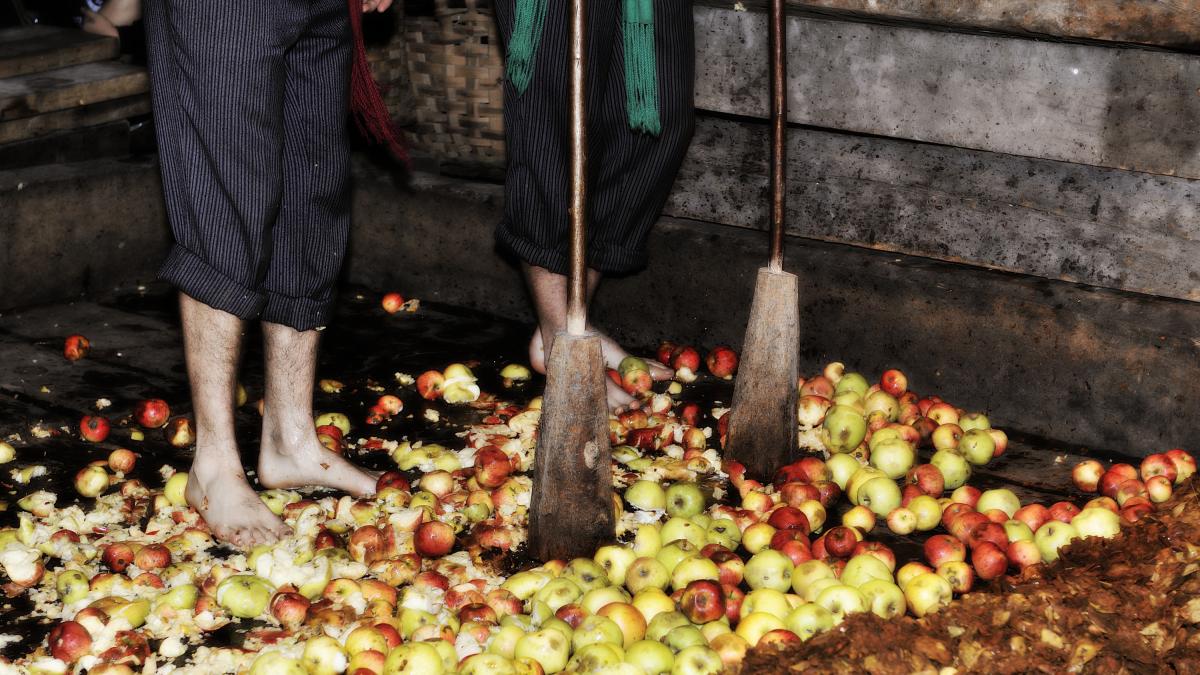 Guerra de la manzana en Bruselas: España y Francia se alían para evitar que los nórdicos llamen "sidra" a sus mezclas industriales