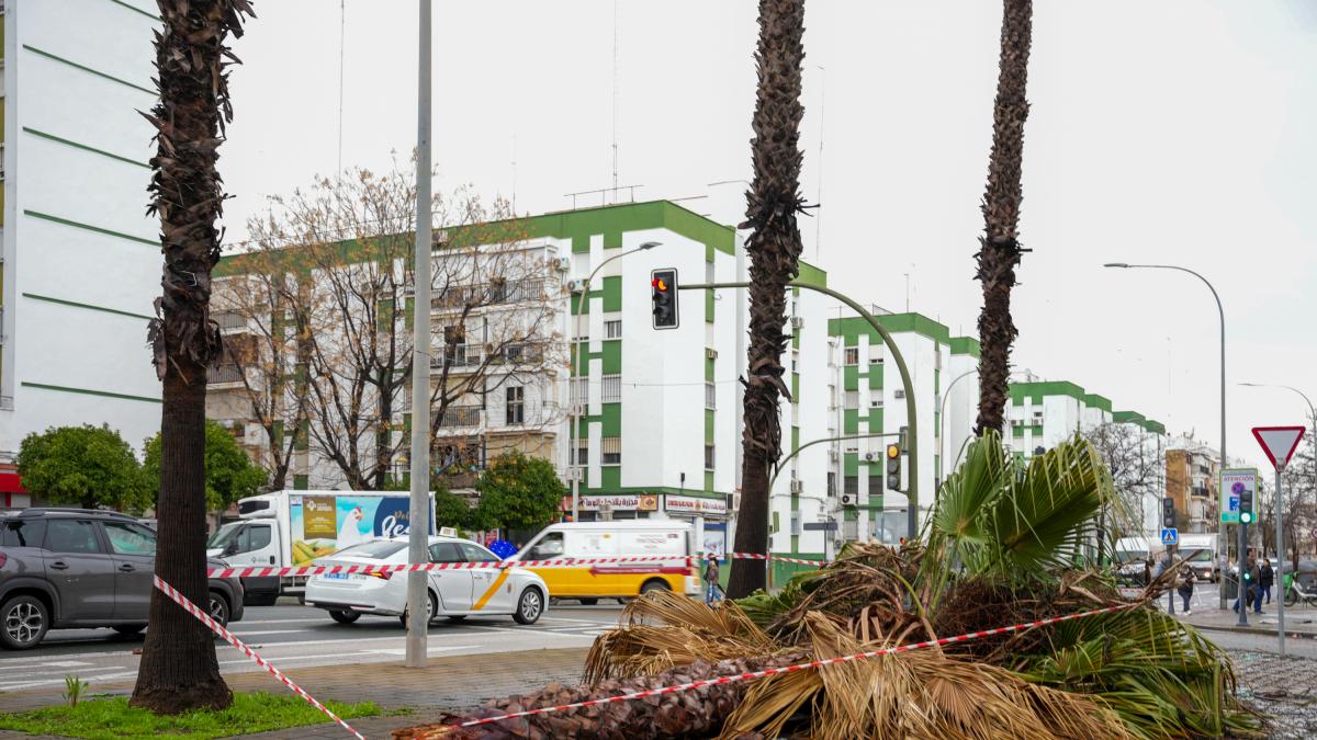 Alerta por la borrasca 'Nils': rachas de 100 km/h y avisos rojos en la costa desde hoy