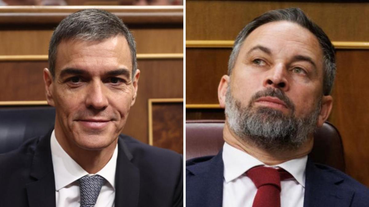 Pedro Sánchez desmonta, uno por uno, todos los bulos de Abascal: "Su labor es la de expandir el odio"