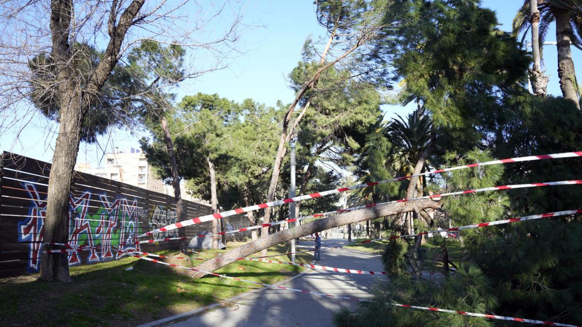 El viento deja al menos 5 heridos graves, 100 vuelos cancelados y múltiples incidencias en Cataluña