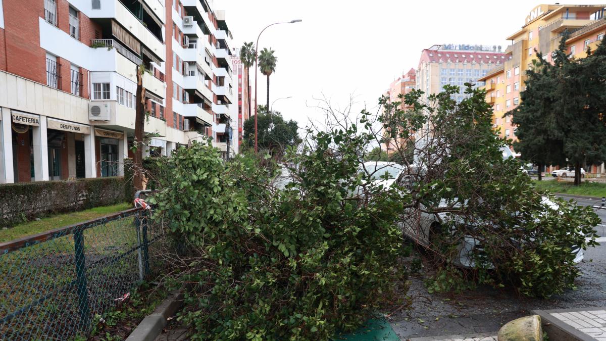 La AEMET activa el aviso rojo en Castellón por rachas de viento de hasta 140 km/h este sábado