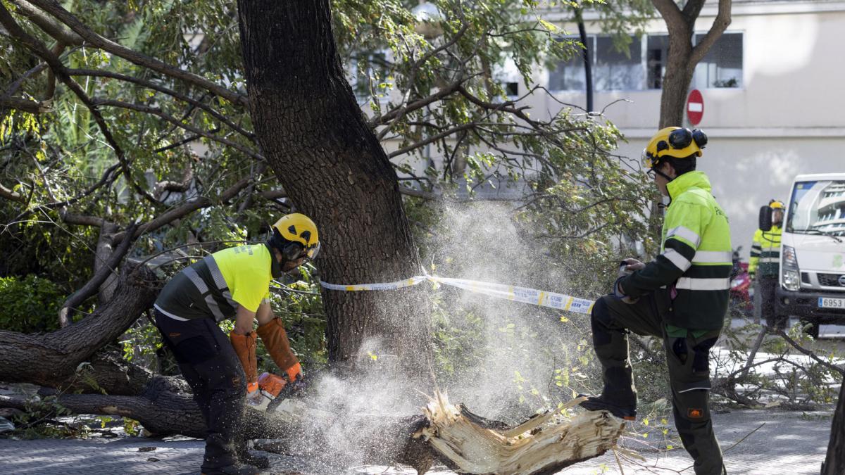 Primera muerte por temporal en Cataluña: una mujer a la que cayó encima el techo de una nave por el viento