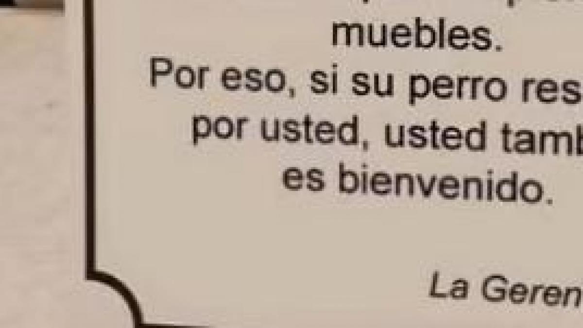 La gerencia de un hotel cuelga un cartel sobre los perros que muchos ya aplauden: una lección para los humanos
