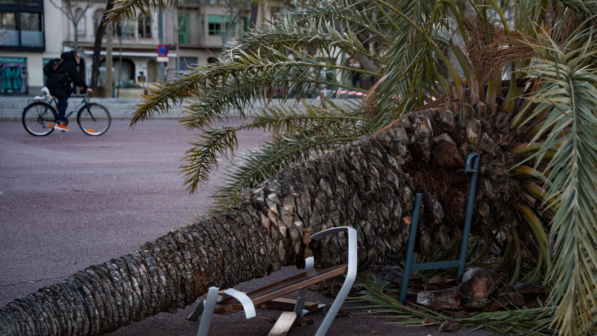 El fuerte viento se hace notar en España: Protección Civil envía un Es-Alert en varias zonas de Cataluña