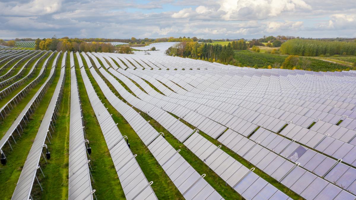 Paco Valera, biólogo en Almería: "Las empresas ganan millones con los paneles solares y no dan 500 euros para cajas nido"
