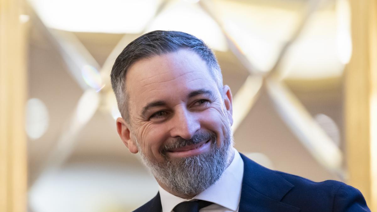 Una politóloga le da el repaso del día a Abascal:  Escuchadlo hablar de Andalucía y tratad de no reíros 