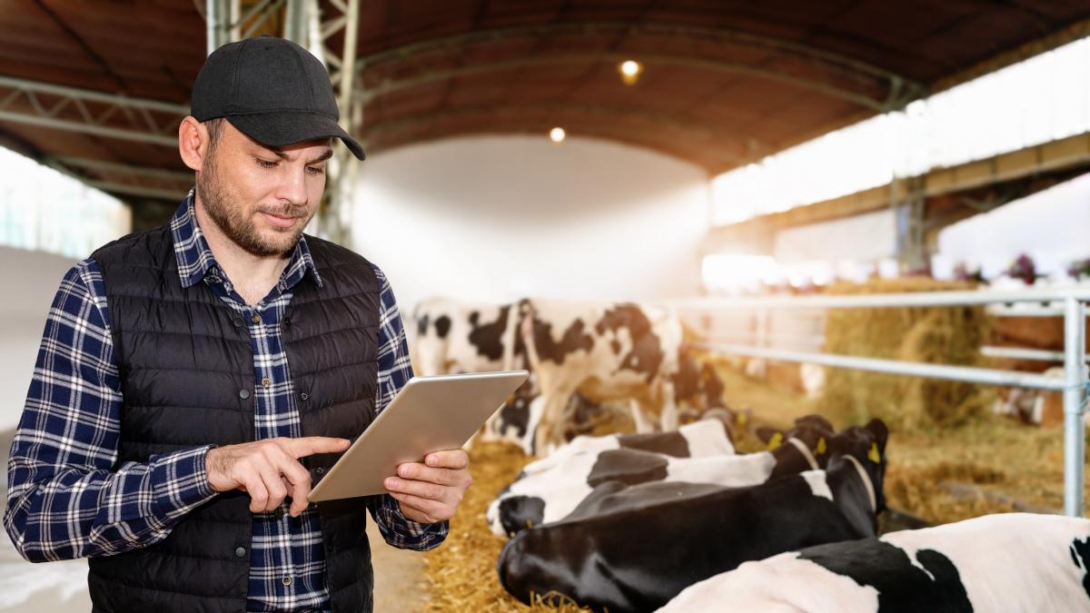 Los inversores de Silicon Valley descubren que el campo también puede ser un negocio de suscripción: así funciona el collar que convierte a los ganaderos en clientes cautivos de por vida