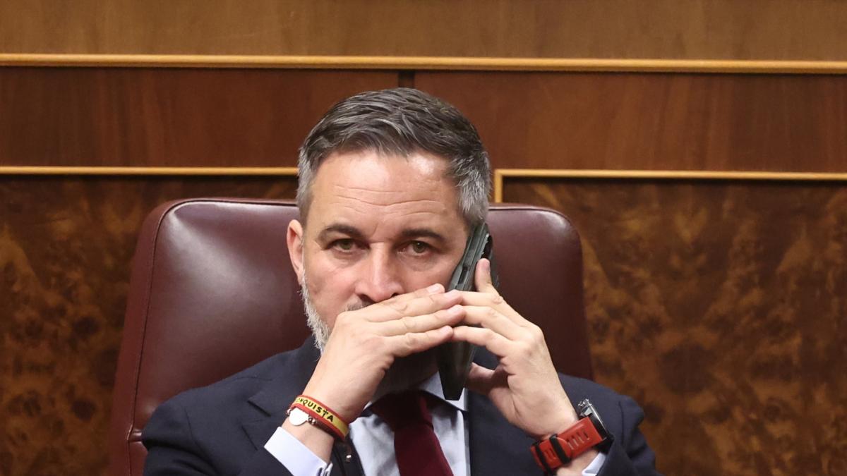 El portavoz de Vox en Torre Pacheco (Murcia) se va del partido tras denunciar comportamientos  cuasi mafiosos  de la cúpula