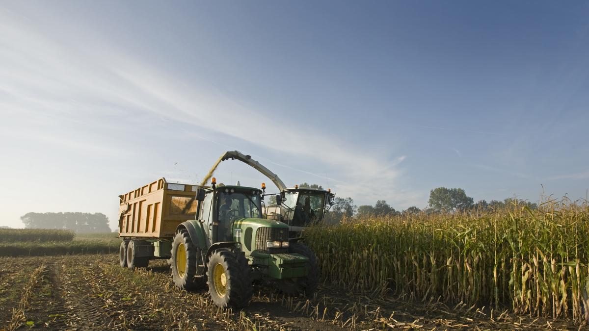 Sara Laguero, agricultora: "El precio del cereal sigue siendo el mismo que hace 60 años pero el gasoil ha subido más del doble. Alguien se está beneficiando y no somos los agricultores"
