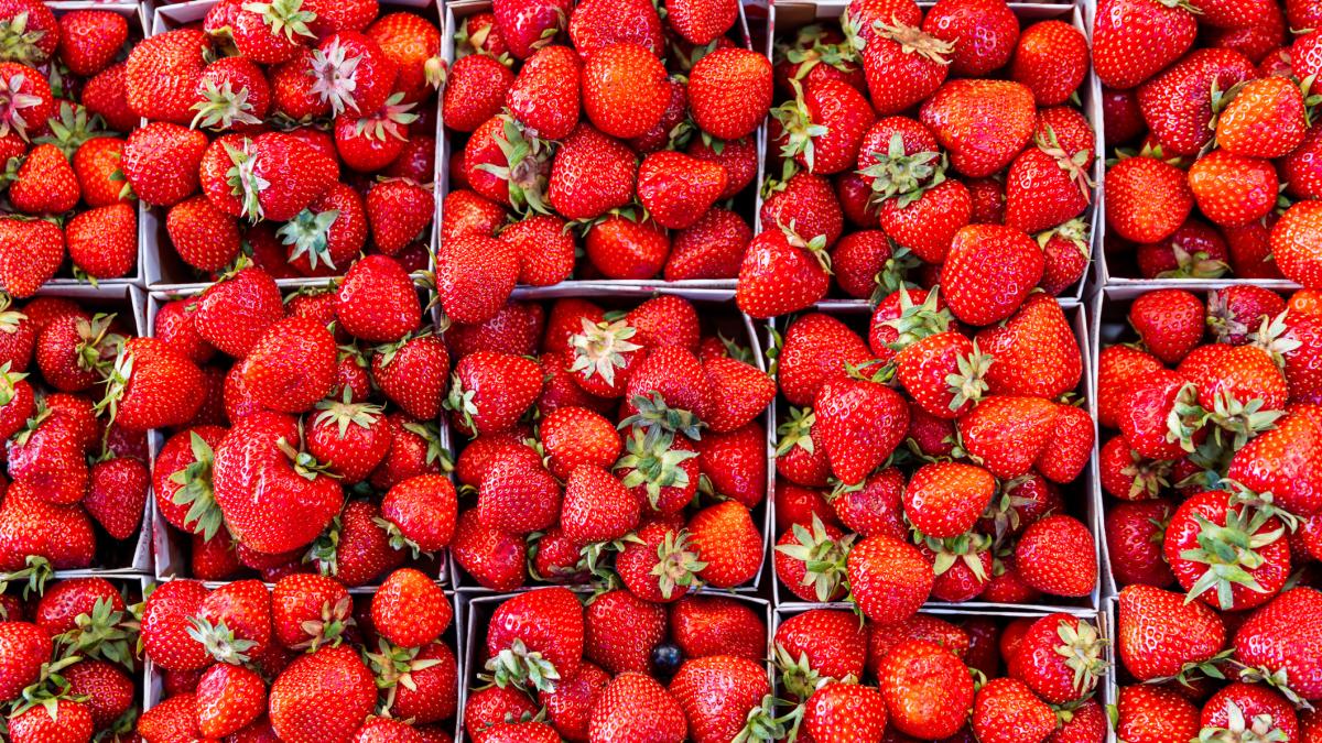 Alejandro Fernández, fundador de La Fresería:  España produce una fresa impresionante, pero desgraciadamente la gente no la prueba: la de mejor categoría se exporta toda al extranjero 