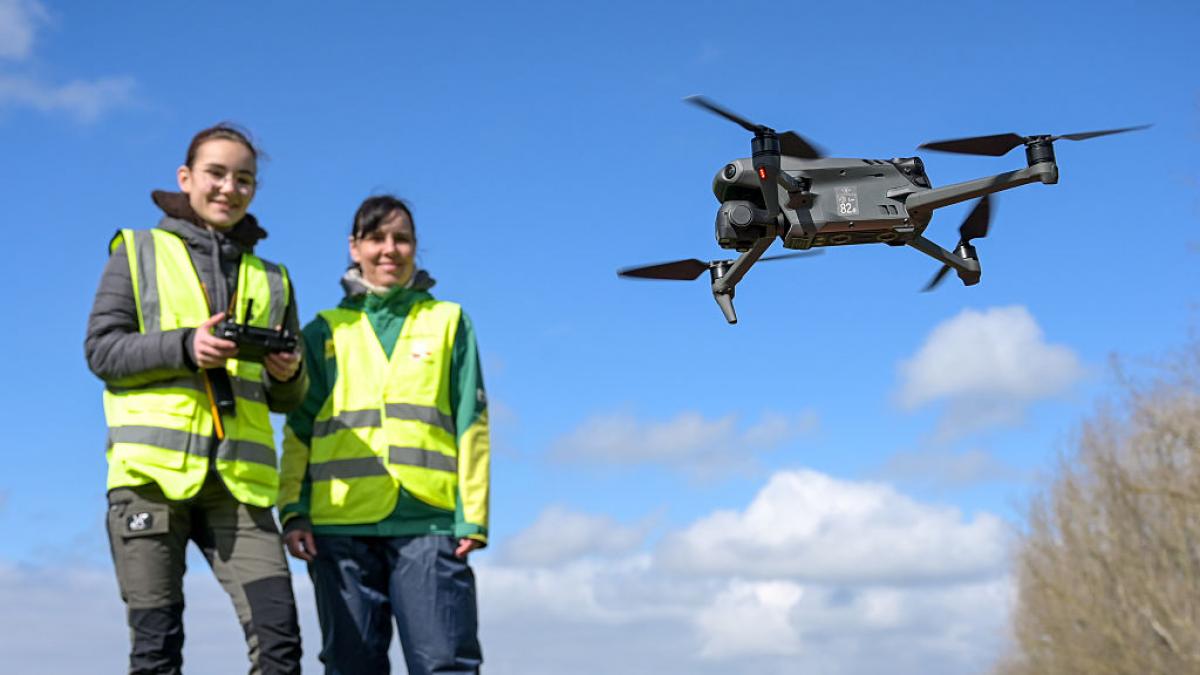 Ni cámaras ni radar: un dron de 460 gramos inspirado en murciélagos navega en la oscuridad con ultrasonidos y ha superado 180 pruebas hasta en la oscuridad total
