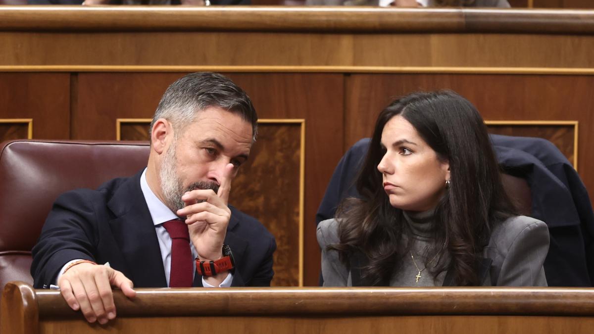 Nueva salida en Vox: una edila se marcha acusando a la  cúpula  de  dinamitar  sus  principios 