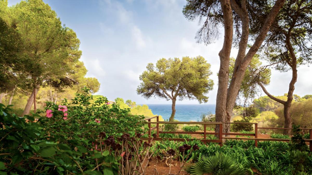 Alfonso Pérez-Ventana, paisajista de Ibiza: "En España tenemos más variedad de plantas que en Inglaterra, el problema es que no las usábamos bien"