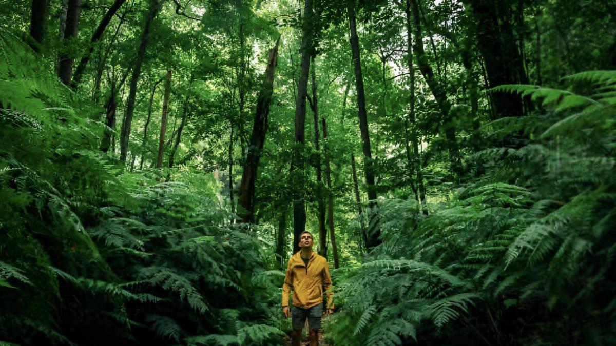Lleva más de cinco meses sin ir al supermercado porque come solo lo que encuentra en el bosque: "Lo más sorprendente es lo bien que va y lo normal que se ha vuelto"