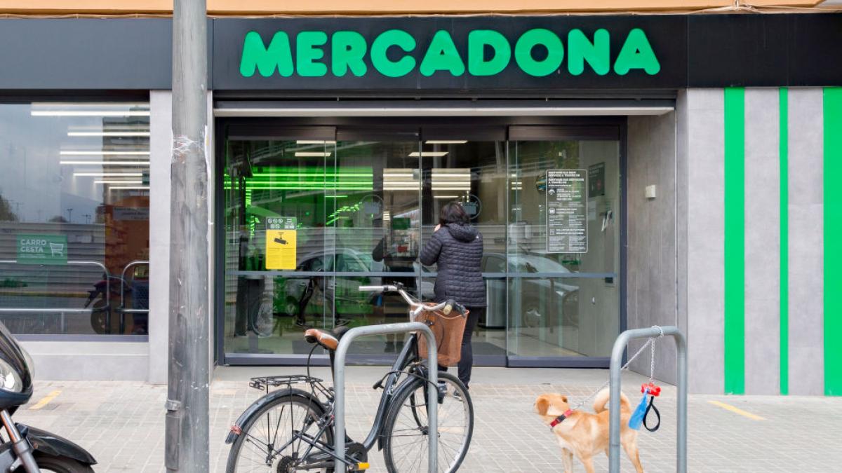 Una experta en mascotas destaca los productos "obligatorios" del Mercadona para tu perro: "Te pueden salvar en algunas ocasiones"