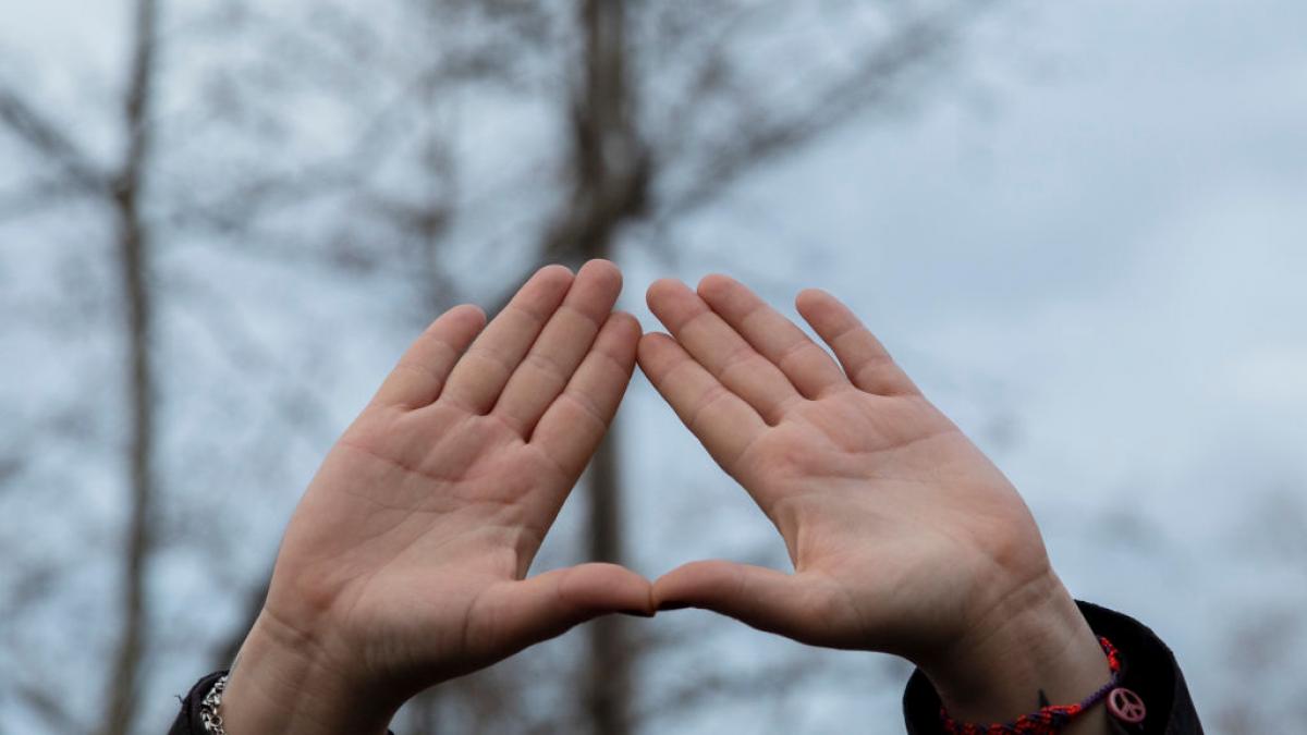 Cinco claves para explicar la reforma de la Constitución que blindaría el aborto, una modificación que exige el  sí  del PP