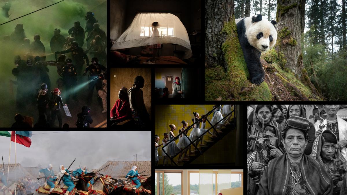 Atracón para la retina: los ganadores del World Press Photo 2026 (con triple sabor español)