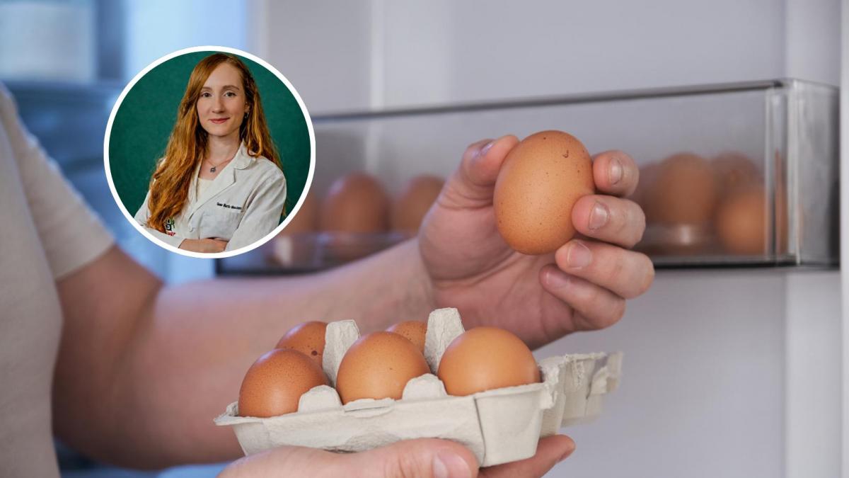 Gema Martín, nutricionista, desvela lo que debes saber sobre el huevo: "Nadie te contó esto"