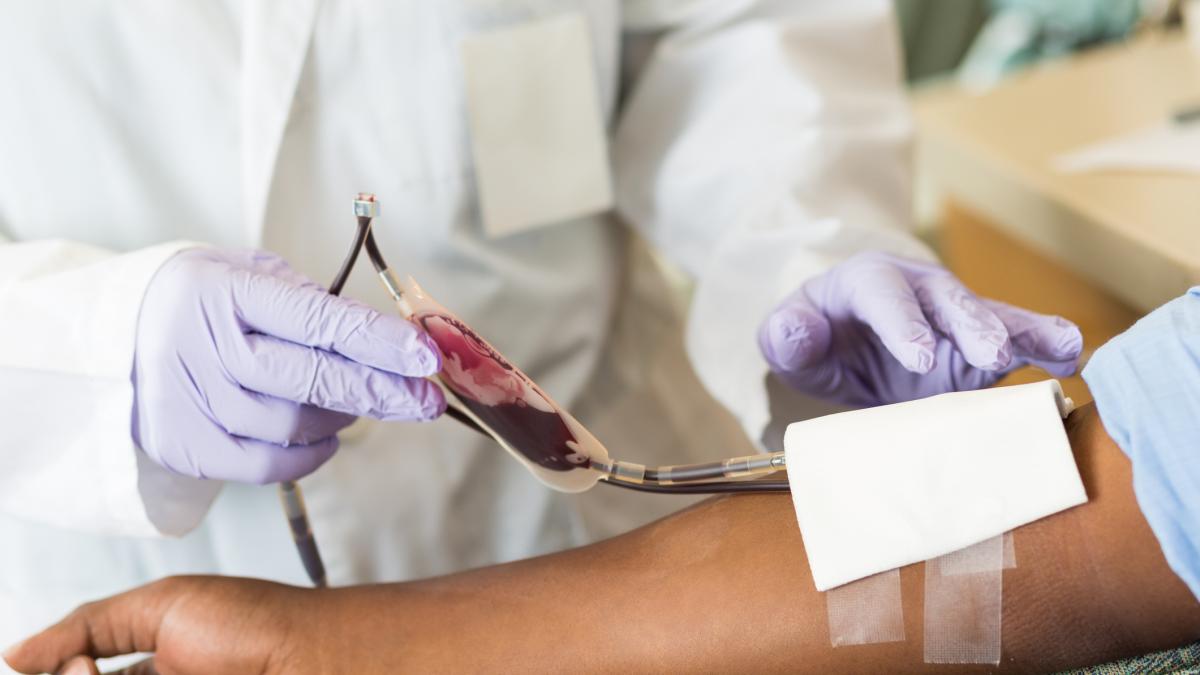 Confirmado por DARPA: la sangre en polvo para heridos en combate funciona en animales y podría estar lista para soldados en 2029, si se resuelve antes el coste