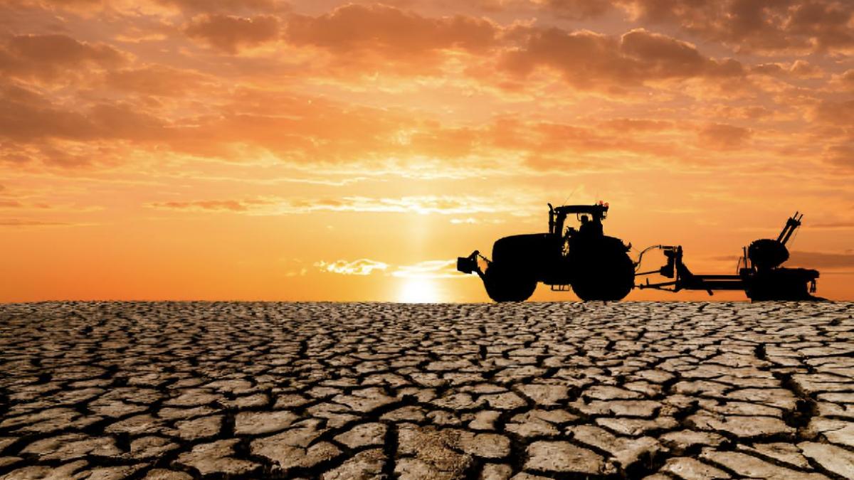 Jaime Martínez Valderrama, científico del CSIC, sobre el 41% del territorio degradado por la desertificación en España: "Es una amenaza directa a la seguridad hídrica y alimentaria"