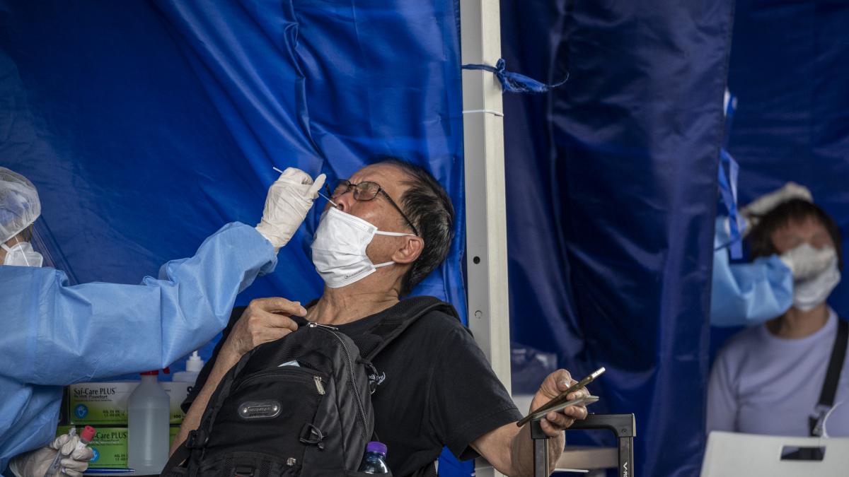 Un hombre de 73 años se contagió de hantavirus y coronavirus al mismo tiempo y sobrevivió: estos fueron sus síntomas y el tratamiento recibido