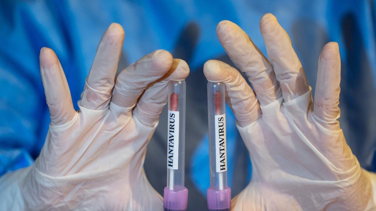 Las medidas para contener el brote de hantavirus incluyen pruebas PCR, aislamientos y desinfección dentro del crucero: "No hay riesgo para la población"