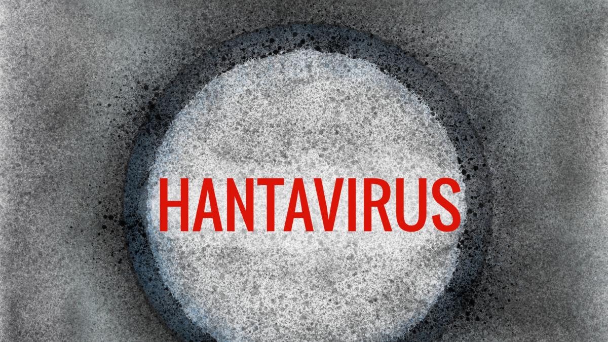Miriam, recuperada tras infectarse con el hantavirus: "Vomitaba constantemente y me pasaba todo el día en la cama, tenía miedo de morir"