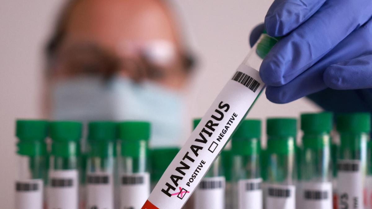 Qué países están afectados por el brote de hantavirus: dónde están los casos confirmados, los pasajeros del crucero bajo sospecha y qué se sabe de los contagios
