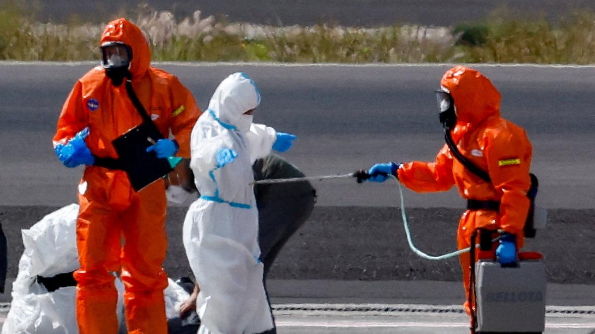 Confirmado un nuevo caso de hantavirus entre los cruceristas en cuarentena del Gómez Ulla