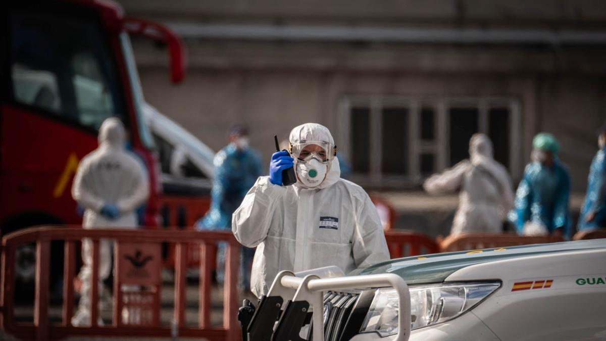 Hantavirus: cuál es el riesgo de propagación si cada país tiene unas normas de aislamiento diferentes