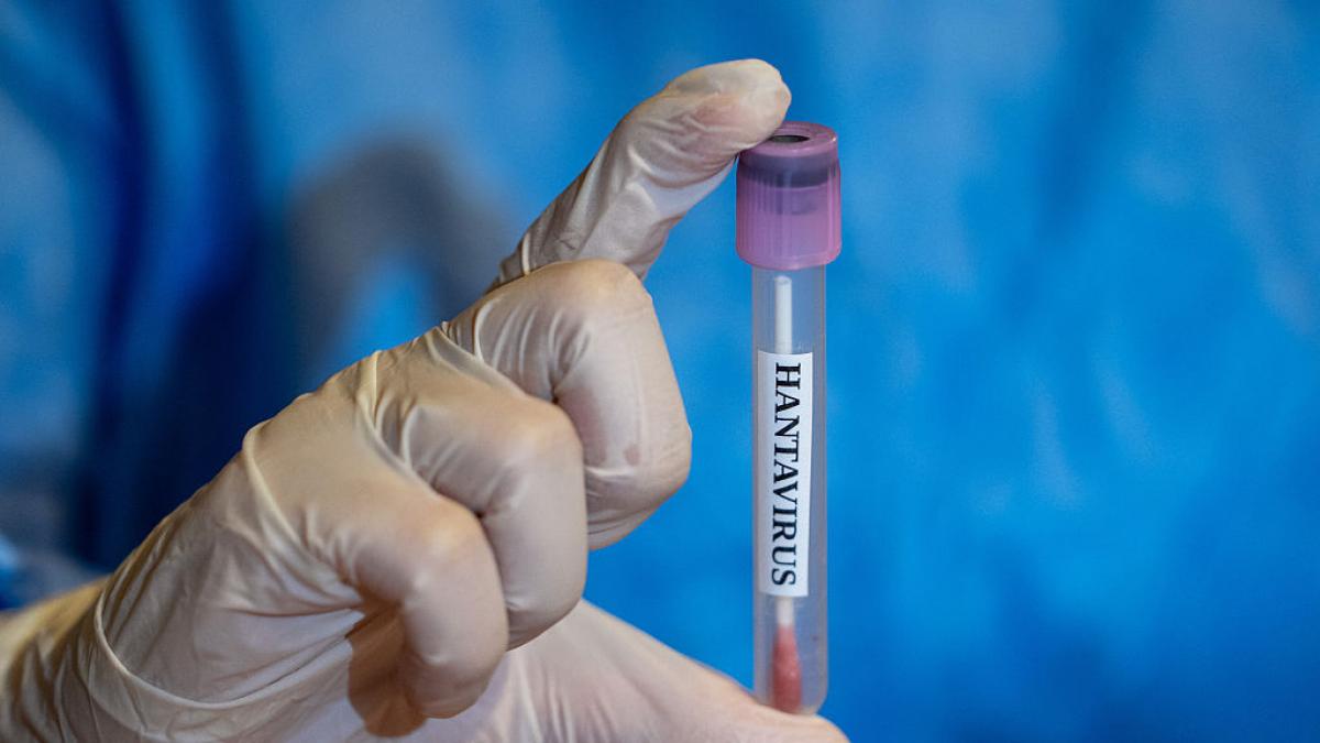 Sanidad confirma el primer positivo de hantavirus en España