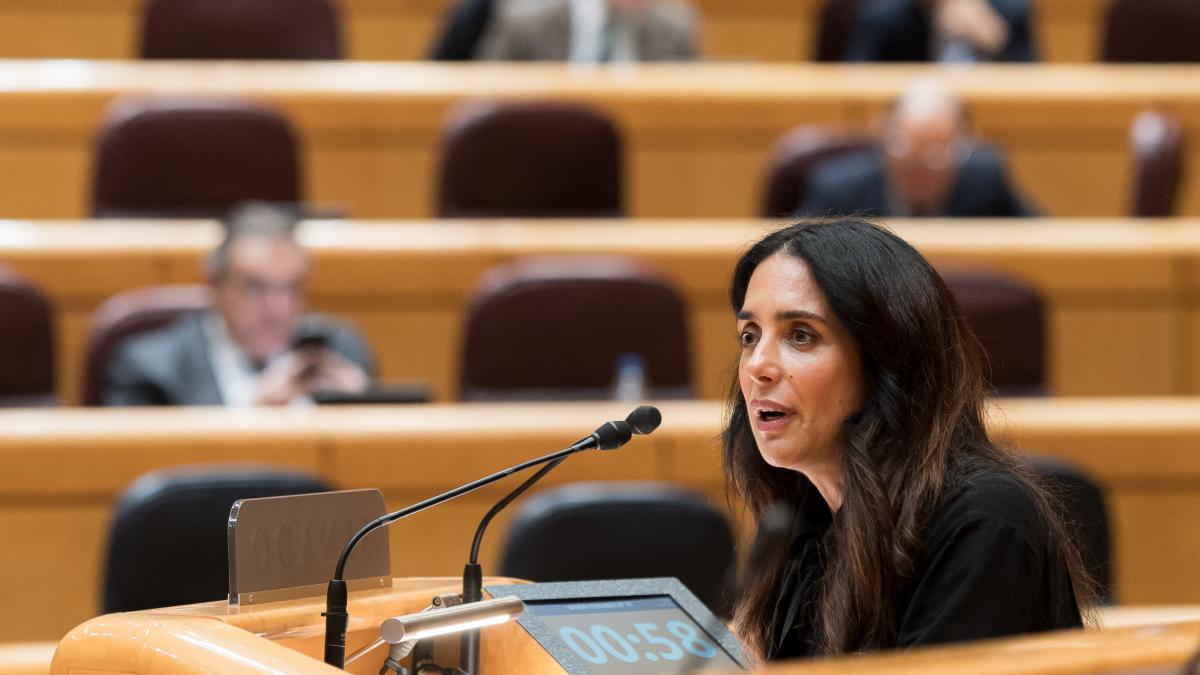 Vox pide de nuevo derogar la ley de Violencia de Género, esta vez en el Senado