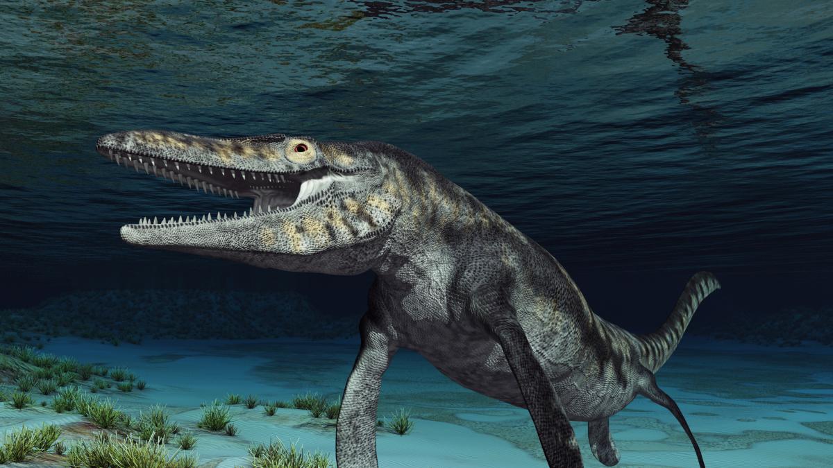 13 metros de largo y dientes de sierra: el colosal hallazgo del nuevo 'T-Rex' marino que reescribe la paleontología