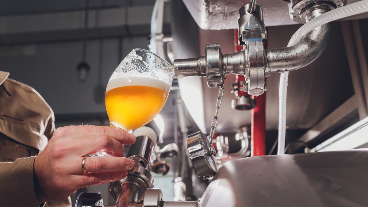 Los investigadores coinciden: los residuos del lúpulo al producir cerveza son ingredientes útiles para crear cremas solares