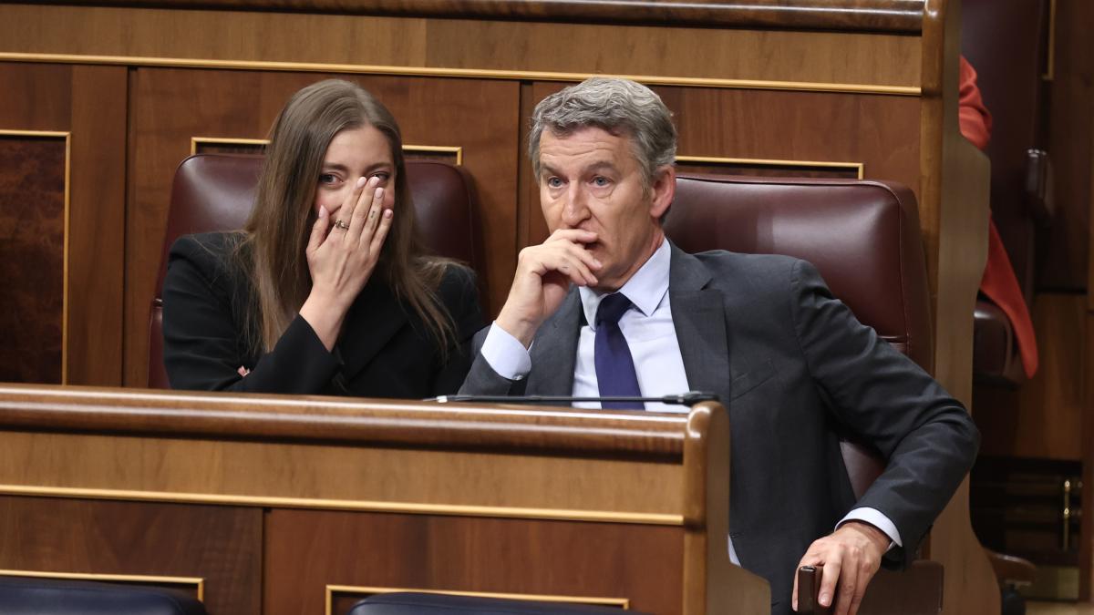 El juez Calama decide que el PP dirija las acusaciones particulares del 'caso Plus Ultra'