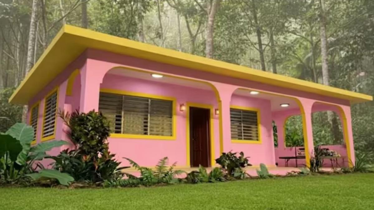 La Casita de Bad Bunny,  a la venta  en Gran Canaria por un millón de euros en una denuncia viral