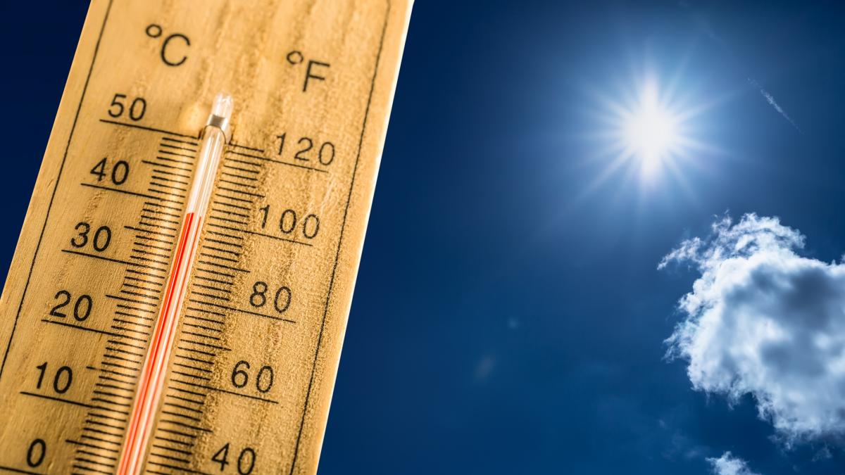 La solución de bajo coste contra el calor extremo: pintar lo