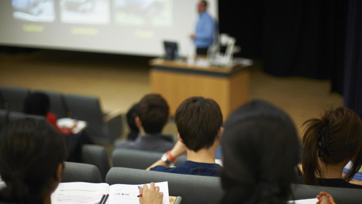 Compara cómo ha vivido la educación española y la educación estadounidense: