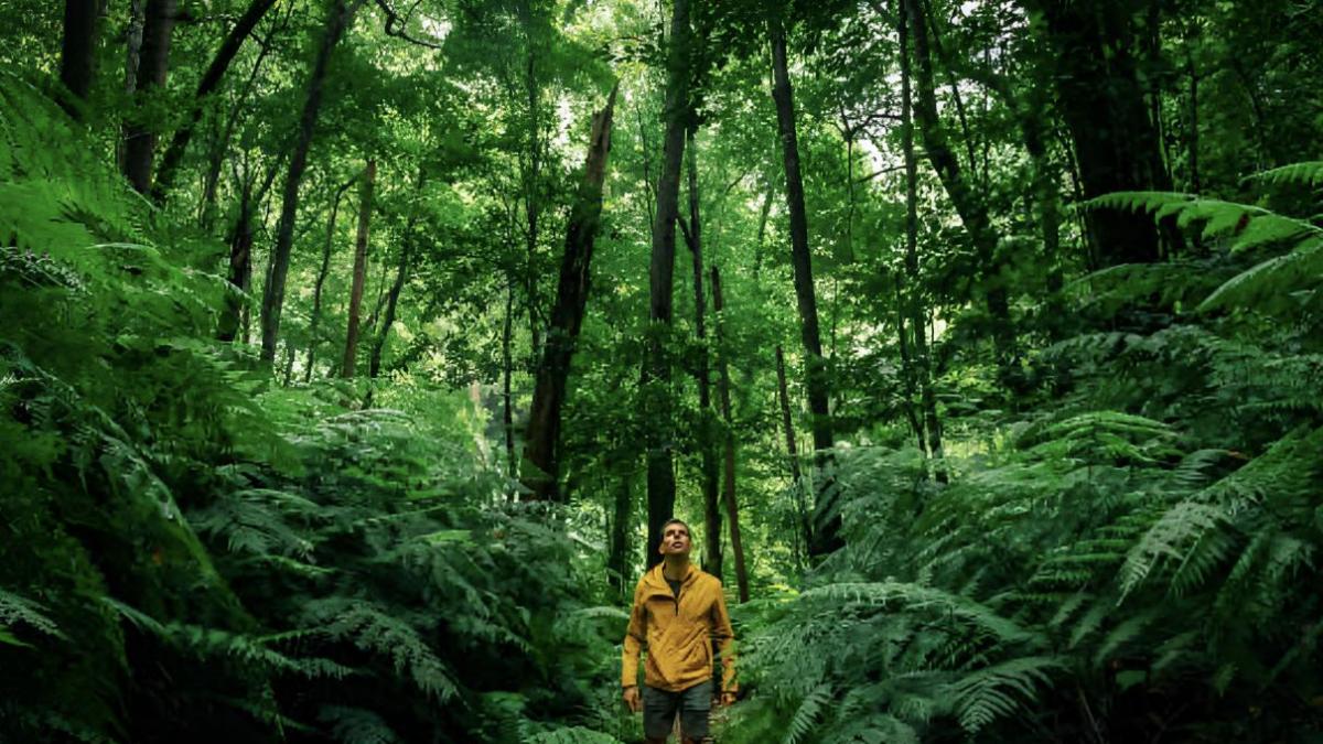 El filósofo que acuñó la solastalgia para definir la ansiedad climática propone ahora el simbioceno 
