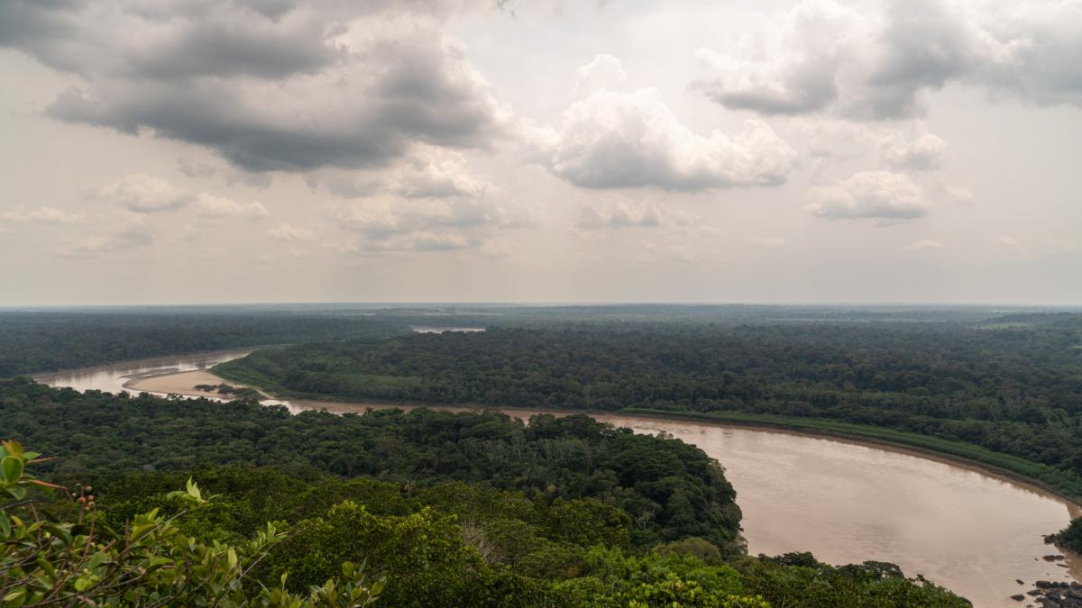 Hace 3.000 años en plena Amazonía: un láser revela bajo la selva una red de 7.500 estructuras que reescribe la historia