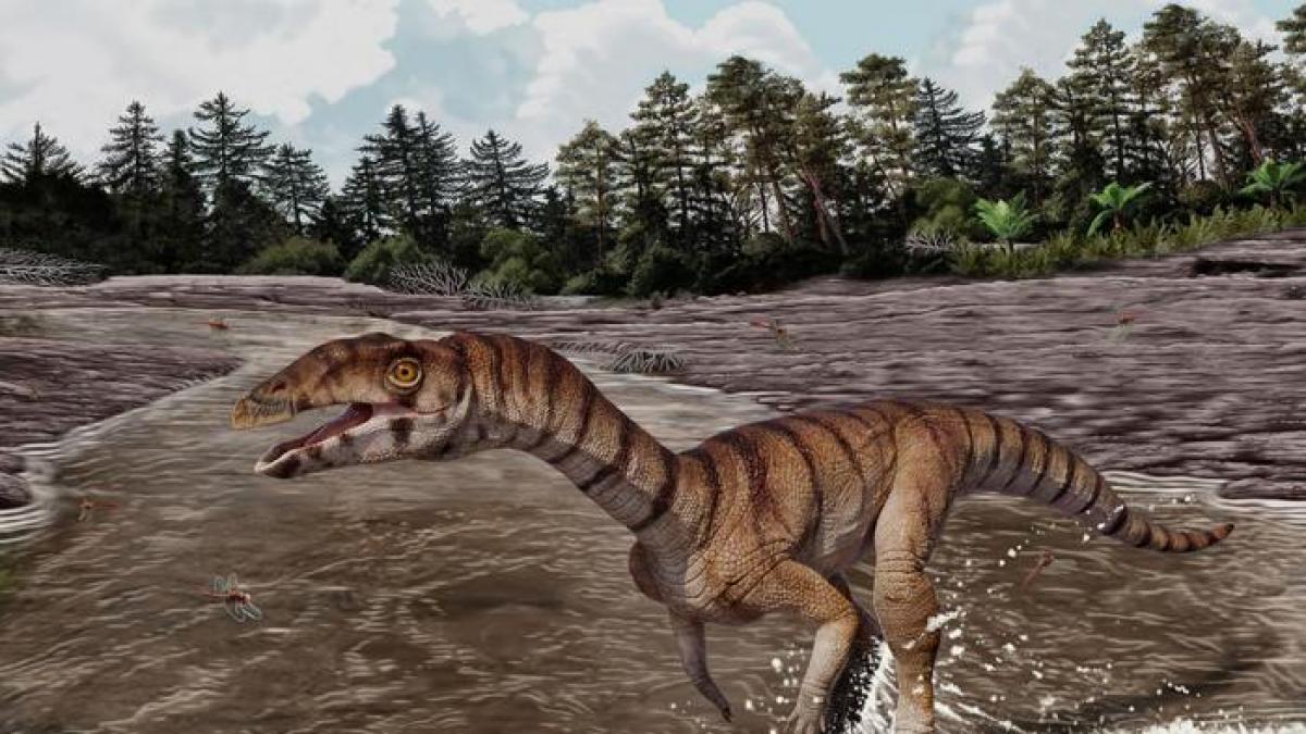 Los paleontólogos están sorprendidos: así era el 