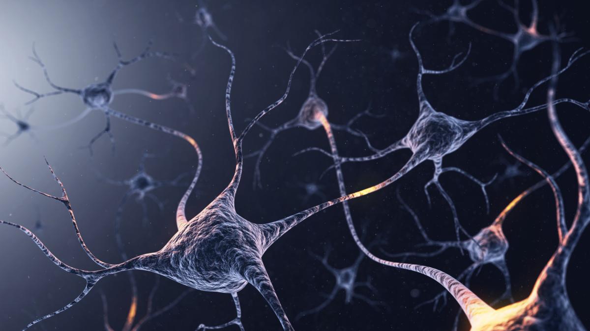 Pocos lo saben, pero el cuerpo humano produce electricidad s