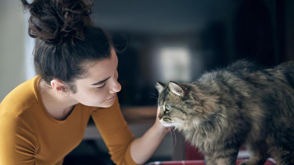 Nicole, etóloga felina: "Si ves todas estas señales en tu ga