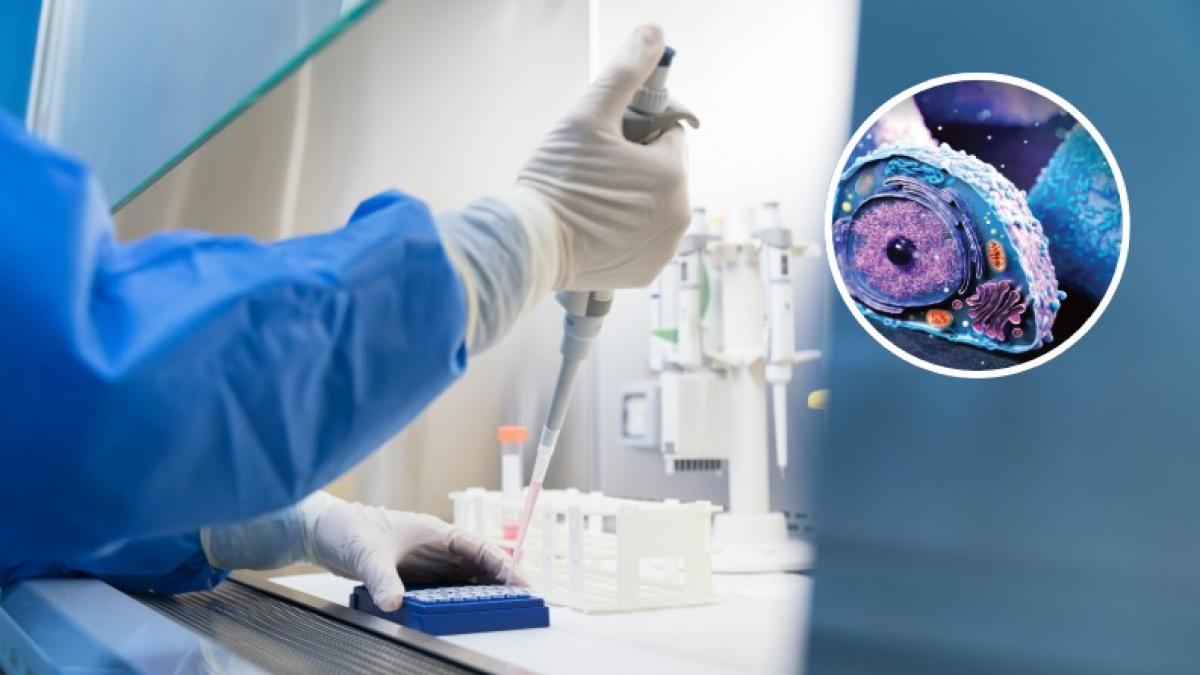 Arqueología molecular con un superordenador: así h