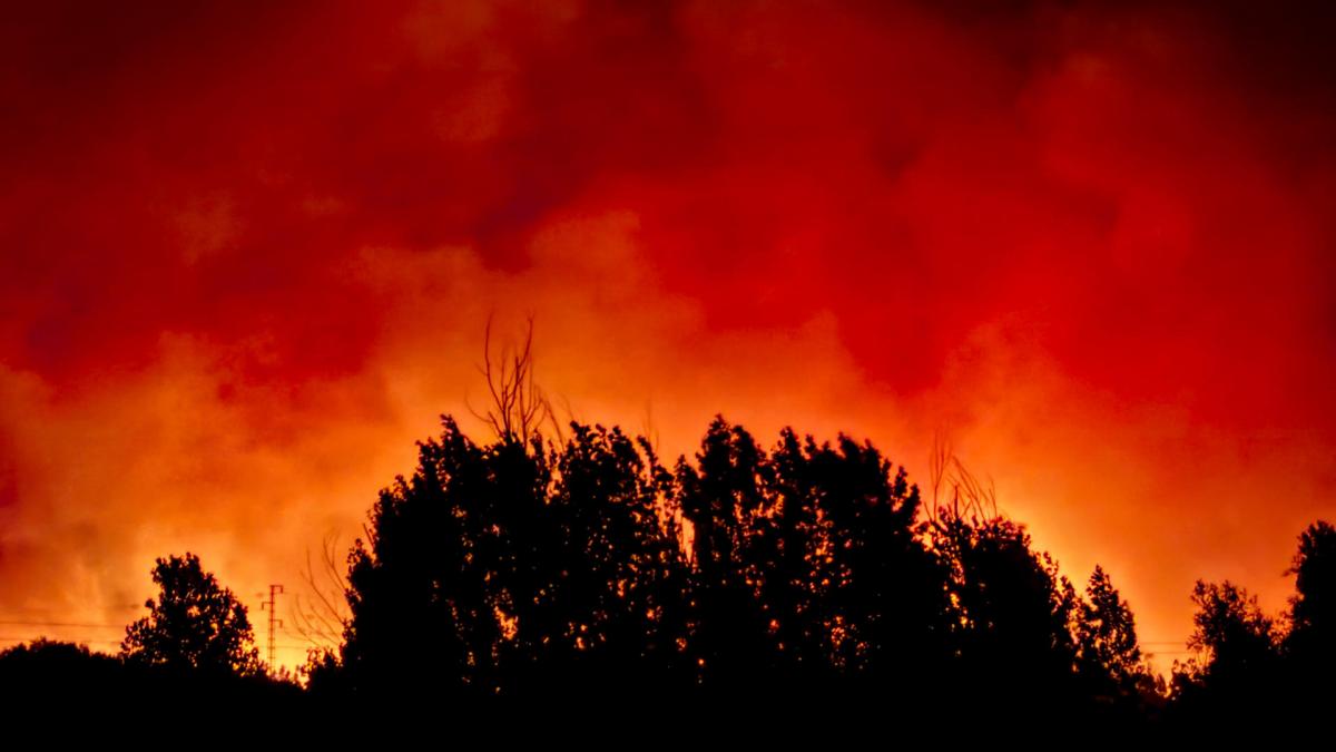 Andalucía reclama a la UME tras elevar a nivel 2 la emergenc